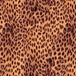 Pantolon Elena Pantolon resmi